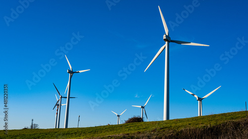 Wallpaper Mural field of wind turbines seen from behind on blue sky Torontodigital.ca