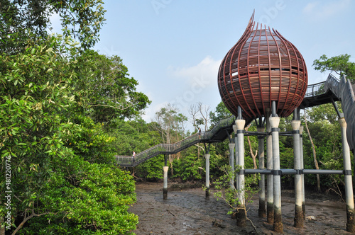 Photography Sungei Buloh Wetland Reserve in Singapore