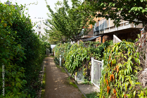 Ilot bois soleil (collective housing) - Borderouge, Toulouse, France