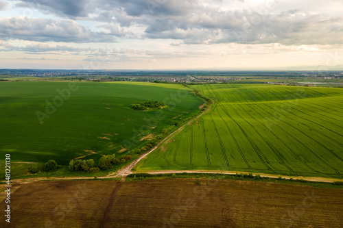 Aerial landscape view of green cultivated agricultural fields with growing crops on bright summer day.
