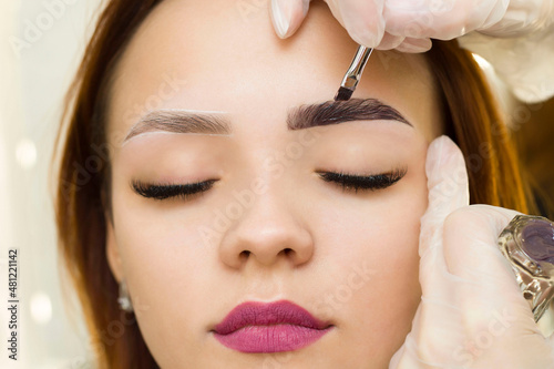 The makeup artist applies paint to the eyebrows.  Permanent makeup. Staining with henna paint.