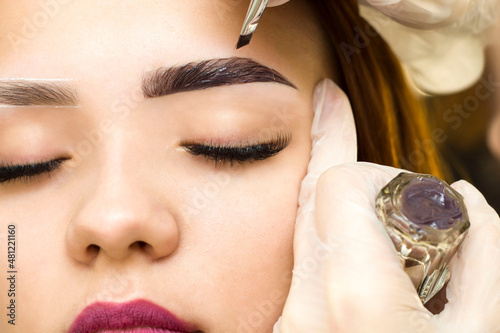 The makeup artist applies paint to the eyebrows.  Permanent makeup. Staining with henna paint.