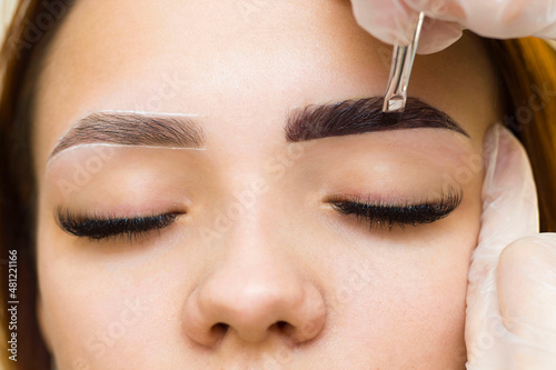Wall Mural The makeup artist applies paint to the eyebrows