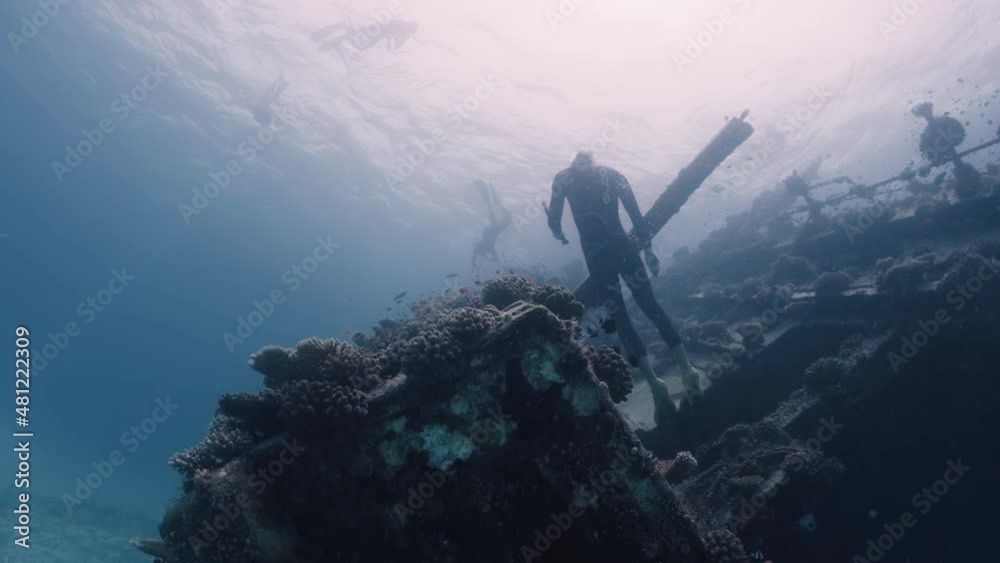 Freediver swims underwater near the shipwreck in Maldives Freediver swims underwater near the shipwreck in Maldives