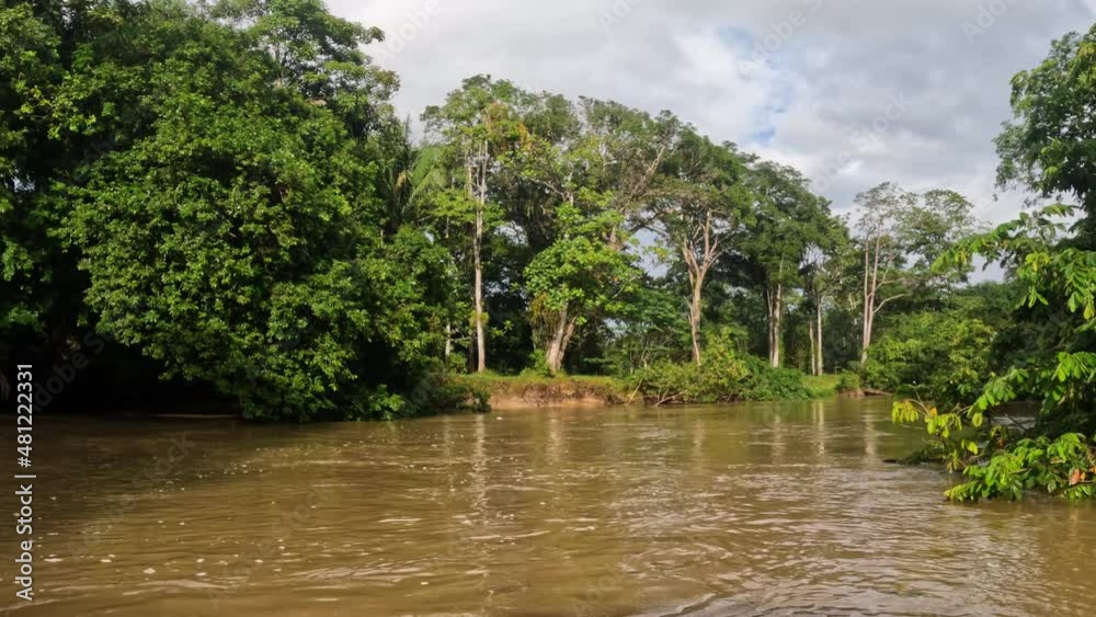 Boat moving through the river Rio Frio channel with beautiful landscape of rainforest , POV view from canoe boat. Cano Negro, Costa Rica Boat moving through the river Rio Frio channel with beautiful landscape of rainforest , POV view from canoe boat. Cano Negro, Costa Rica