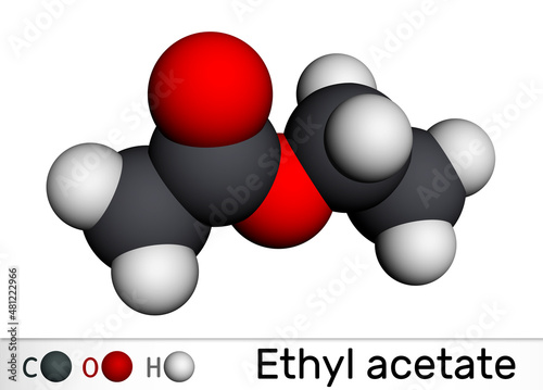 Bilde på lerret Ethyl acetate, ethyl ethanoate molecule