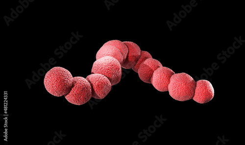 Streptococcus is a spherical bacteria, here formed in a chain. The can cause strep throat, streptococcal pharyngitis and meningitis. 3d illustration on black background photo