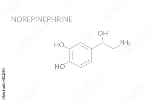 Norepinephrine molecular skeletal chemical formula. 