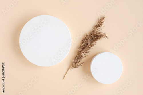 Podium for cosmetic product presentation. Abstract minimal geometrical form. Cylinder podium with dry pampas grass, soft shadow. Scene to show products. Showcase, display case. Flat lay, top view