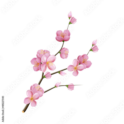 sakura flower branch blossom pink tree. marriage decoration. pink leaf. 3d realistic vector illustration