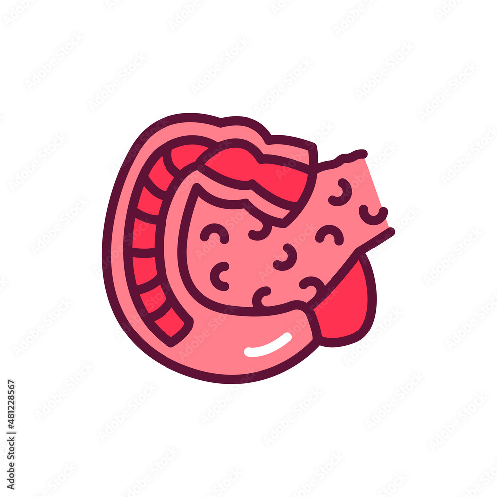 Human organ duodenum line icon. Isolated vector element. Human organ duodenum line icon. Isolated vector element.