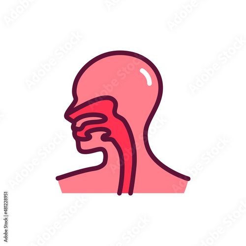 Human organ esophagus line icon. Isolated vector element.