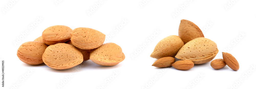 Heap of fresh almonds in shells isolated on white background Heap of fresh almonds in shells isolated on white background
