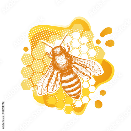 Yellow bee sketch template in modern style on white background. Summer natural organic food. Line art.