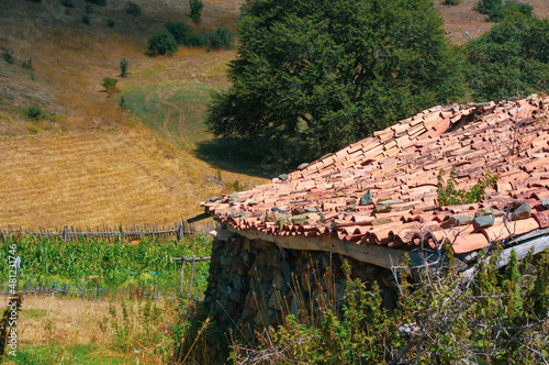 Old stone village house and garden in the forests.