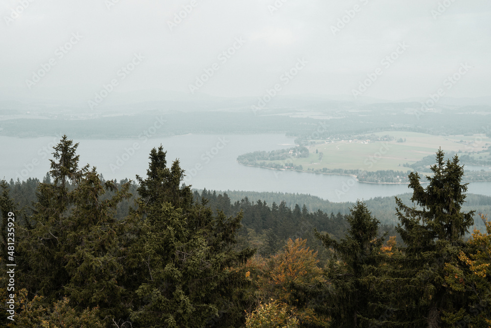 View on the Lipno dam and autumn trees from Vitkuv castle, Sumava mountains, Czech republic