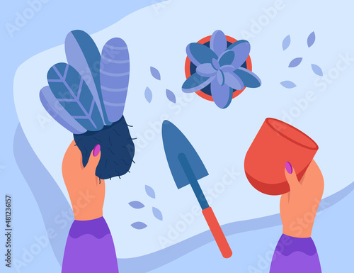 Hands of florist or gardener putting plant with soil in pot. Person replanting succulents with care, houseplants for home interior flat vector illustration. Gardening concept for banner, landing page