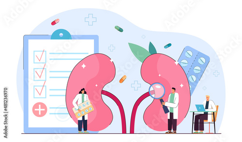 Doctors nephrologists examining patients kidney health. Medical care and treatment of urinary system diseases from tiny persons in hospital flat vector illustration. Nephrology, medicine concept