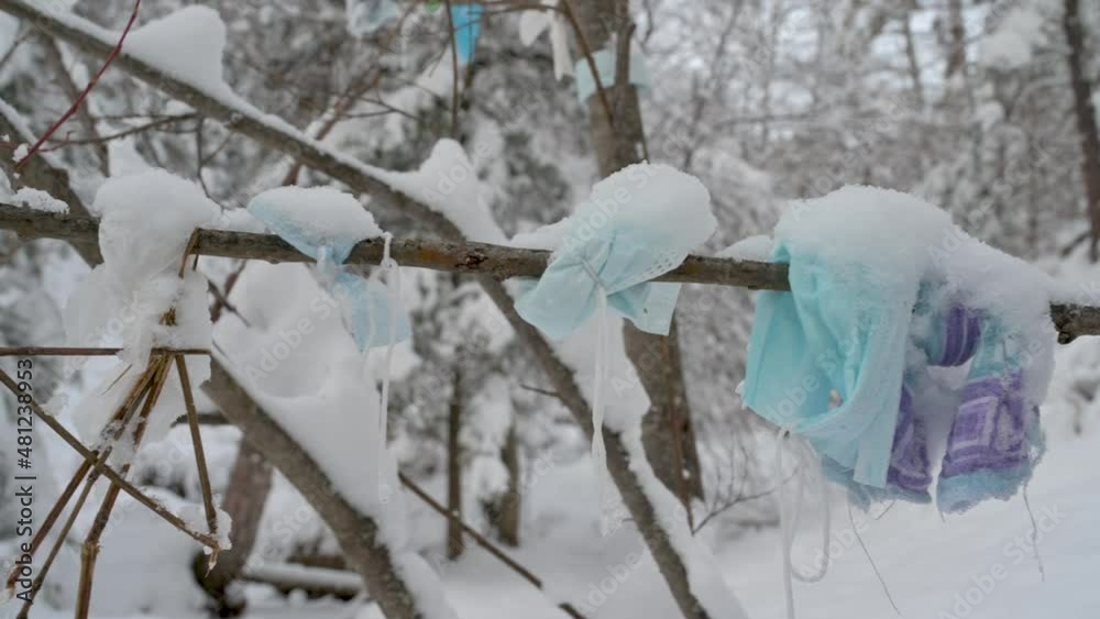 Surgical masks on trees in winter forest. Consequences of overuse of surgical masks during the coronavirus pandemic. Environmental and pollution concept Surgical masks on trees in winter forest. Consequences of overuse of surgical masks during the coronavirus pandemic. Environmental and pollution concept