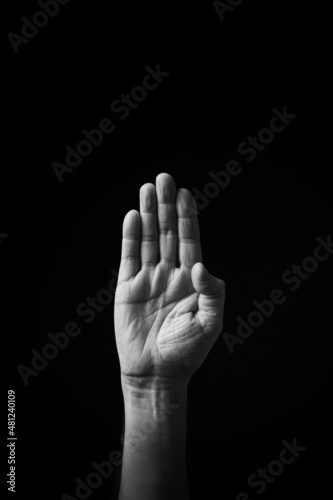 B+W image of hand demonstrating Chinese sign language letter B isolated against black background