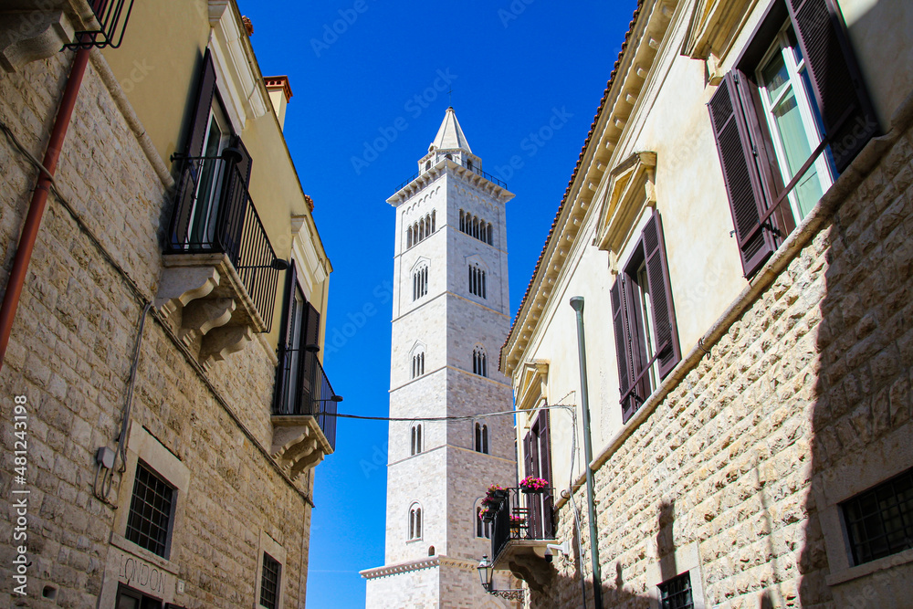 view of the bell tower of the church of Trani with buildings in the historic center