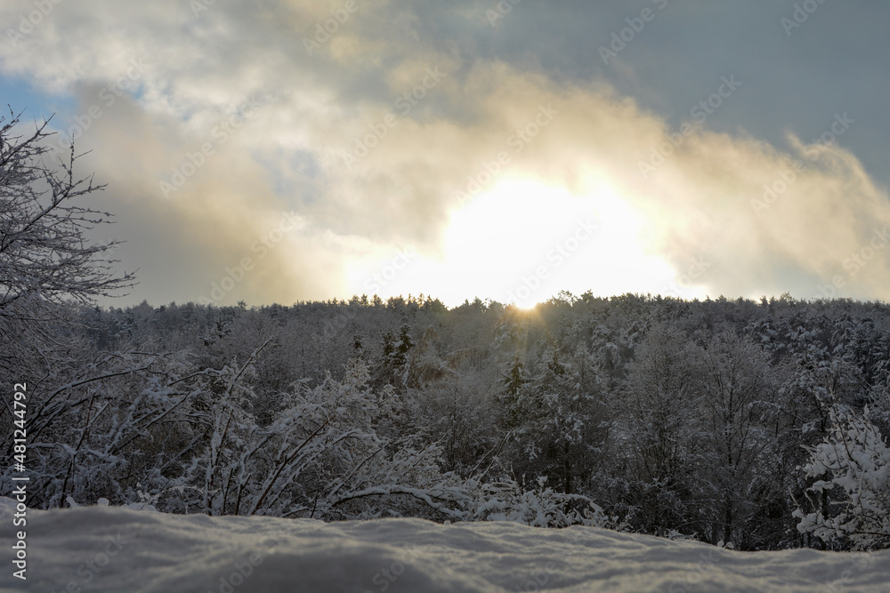 Trees at sunrise in the forest, winter with snow and shining sun and many sunbeams Trees at sunrise in the forest, winter with snow and shining sun and many sunbeams