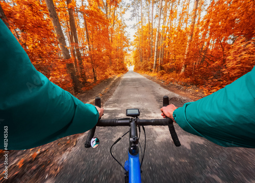 POV shot of a cyclist riding a road bike in the middle of an autumn forest in sunny weather.