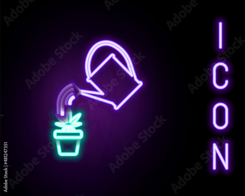 Glowing neon line Watering can sprays water drops above marijuana or cannabis plant in pot icon isolated on black background. Marijuana growing concept. Colorful outline concept. Vector