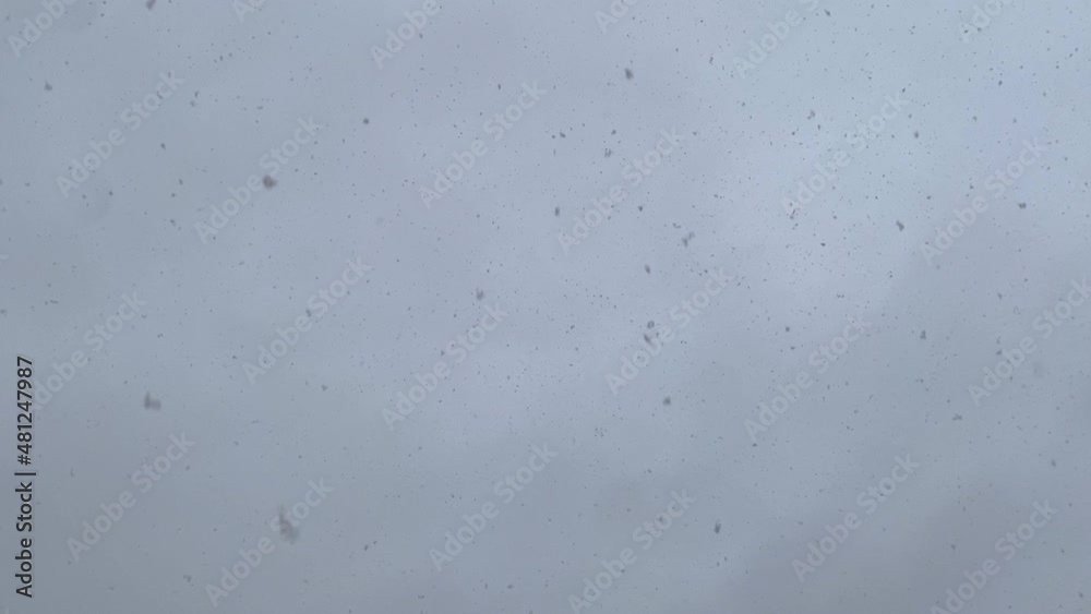 Snowflakes falling infront of a gray midday sky. Slow motion Snowflakes falling infront of a gray midday sky. Slow motion
