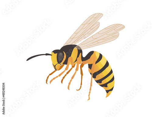 Dangerous wasp insect cartoon animal design vector illustration on white background