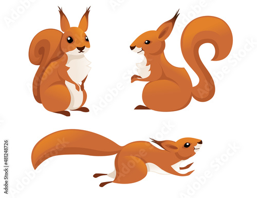 Cute little squirrel jumping down. Side view. Cartoon animal character design. Flat vector illustration isolated on white background.
