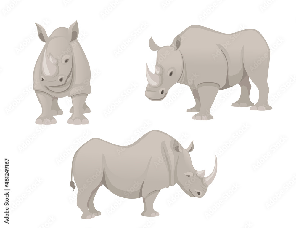 Set of african rhinoceros side view cartoon animal design flat vector illustration isolated on white background Set of african rhinoceros side view cartoon animal design flat vector illustration isolated on white background