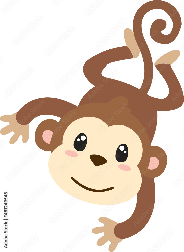 Monkey Monkey