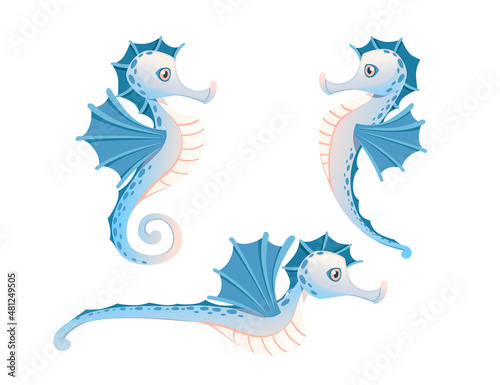 Set pf cute adorable blue seahorse cartoon sea animal design flat vector illustration isolated on white background