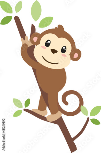 Monkey