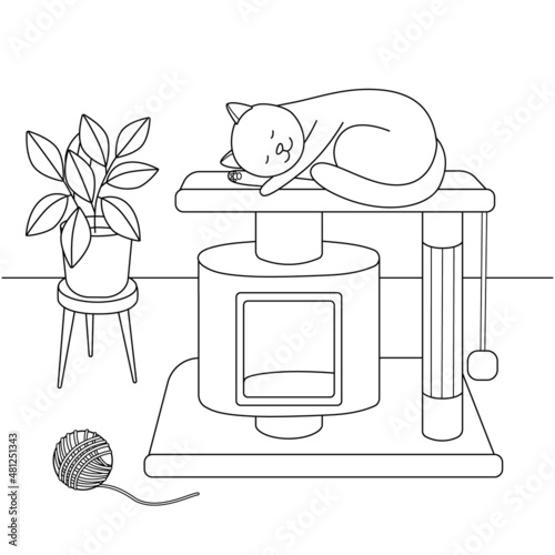 Cute cat sleeping on his playhouse, room, flower, on a white background, coloring book for kids. Simple form, sketch, doodle.
