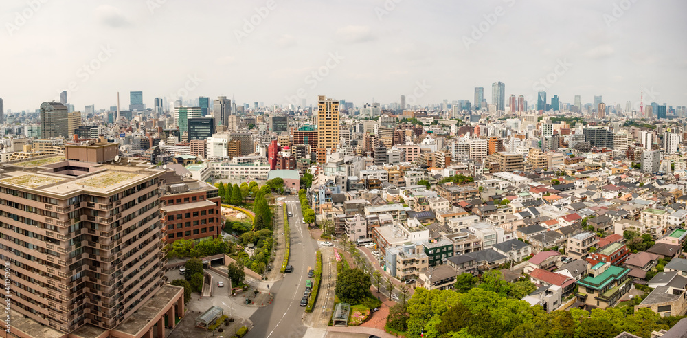 Naklejka premium A panoramic view of the downtown Tokyo skyline