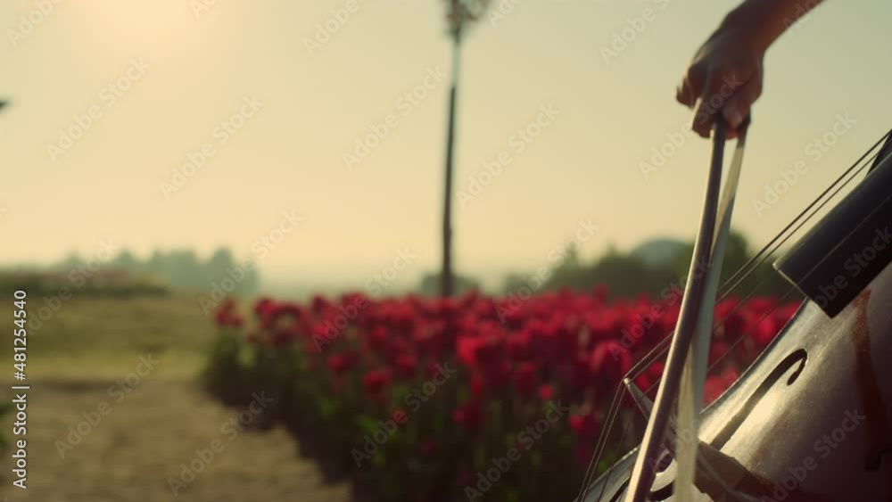 Closeup strings with bow in woman hands. Passionate girl playing cello outdoors. Closeup strings with bow in woman hands. Passionate girl playing cello outdoors.