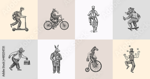 Fox on a bicycle, Cat juggler, turtle on a scooter. Bear, horse, hare, Owl, Squid. Fashion Animal characters set. Hand drawn sketch. Vector engraved illustration for label, logo and T-shirts.