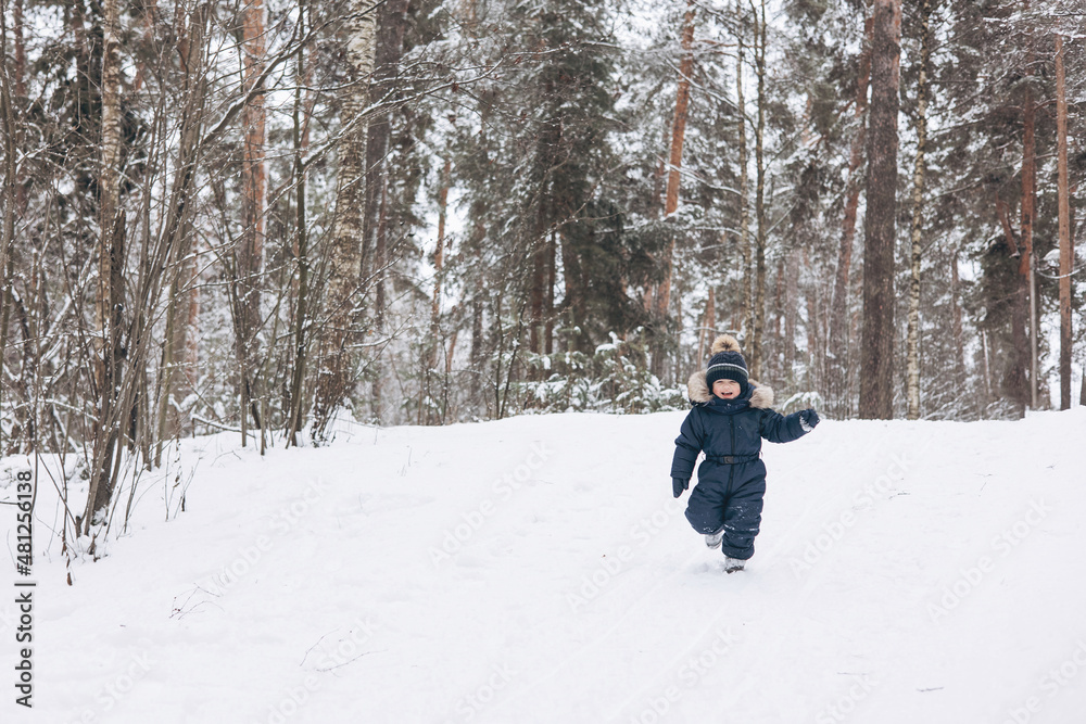 Child walking in snowy spruce forest. Little kid boy having fun outdoors in winter nature. Christmas holiday. Cute happy toddler boy in blue overalls and knitted scarf and cap playing in park.