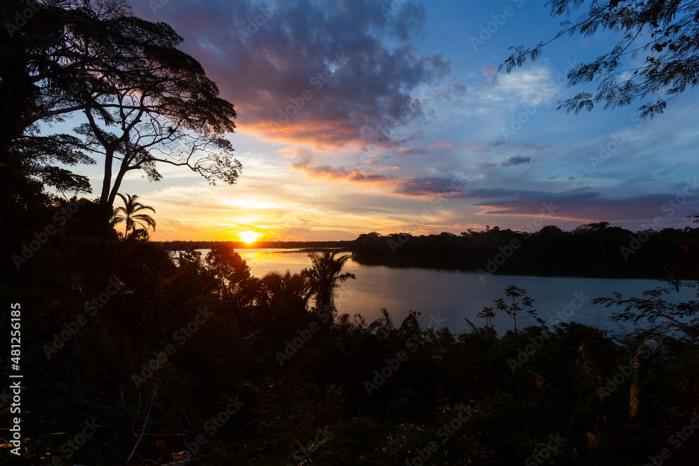 Landscape of the Amazon jungle, in Lago Sandoval, Tambopata, Peru Landscape of the Amazon jungle, in Lago Sandoval, Tambopata, Peru
