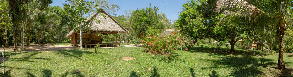 A beautiful garden in the Amazon jungle A beautiful garden in the Amazon jungle