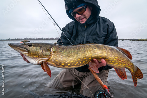 Winter pike fishing on fly rod