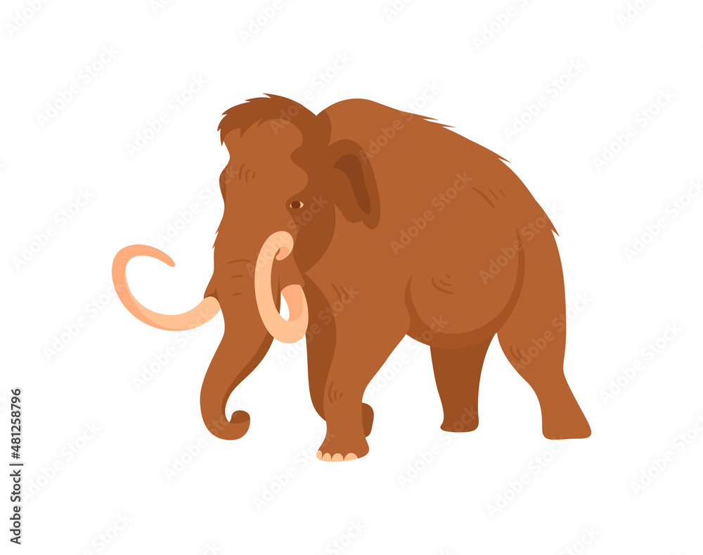 Evolution of life forms on Earth concept