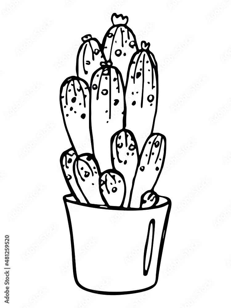 Cute hand drawn simple cactus. Houseplant in a pot. Cacti illustration isolated on white background. Cute hand drawn simple cactus. Houseplant in a pot. Cacti illustration isolated on white background.