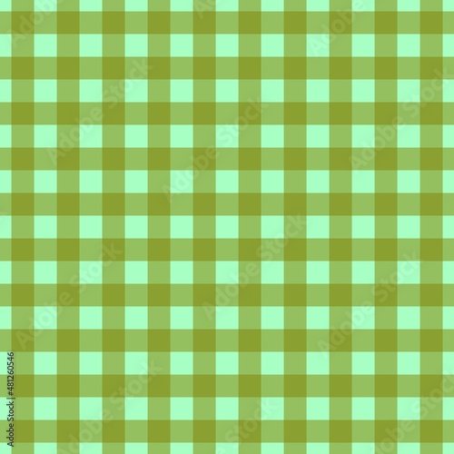 Plaid pattern. Mint on Olive color. Tablecloth pattern. Texture. Seamless classic pattern background.
