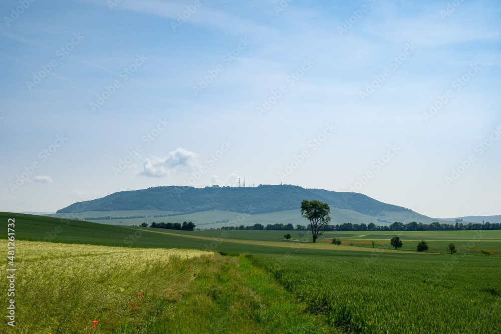 Fototapeta premium field and sky