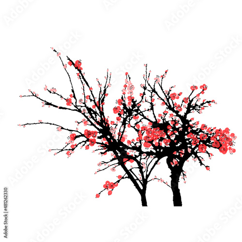 Realistic sakura blossom isolated on white background. Japanese cherry tree. Vector