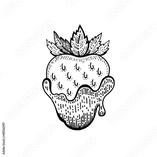 Strawberry chocolate doodle sketch icon. Valentine's day engraved symbol. Happy Valentine vintage line vector illustration isolated background, Romantic love drawing for greeting card design, sticker