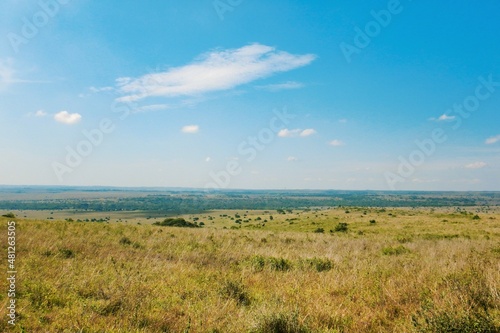 The panoramic savannah grasslands landscapes of Nairobi National Park, Kenya © martin